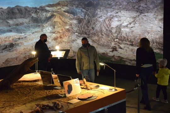 Uczestnicy oglądają wystawę paleontologiczną